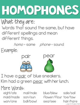 Homophone Activities Freebie
