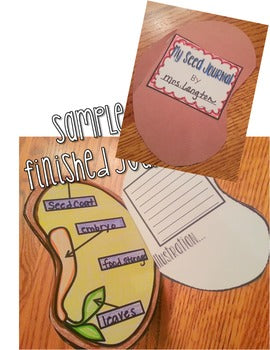 Seed Plant Life Cycle Activities