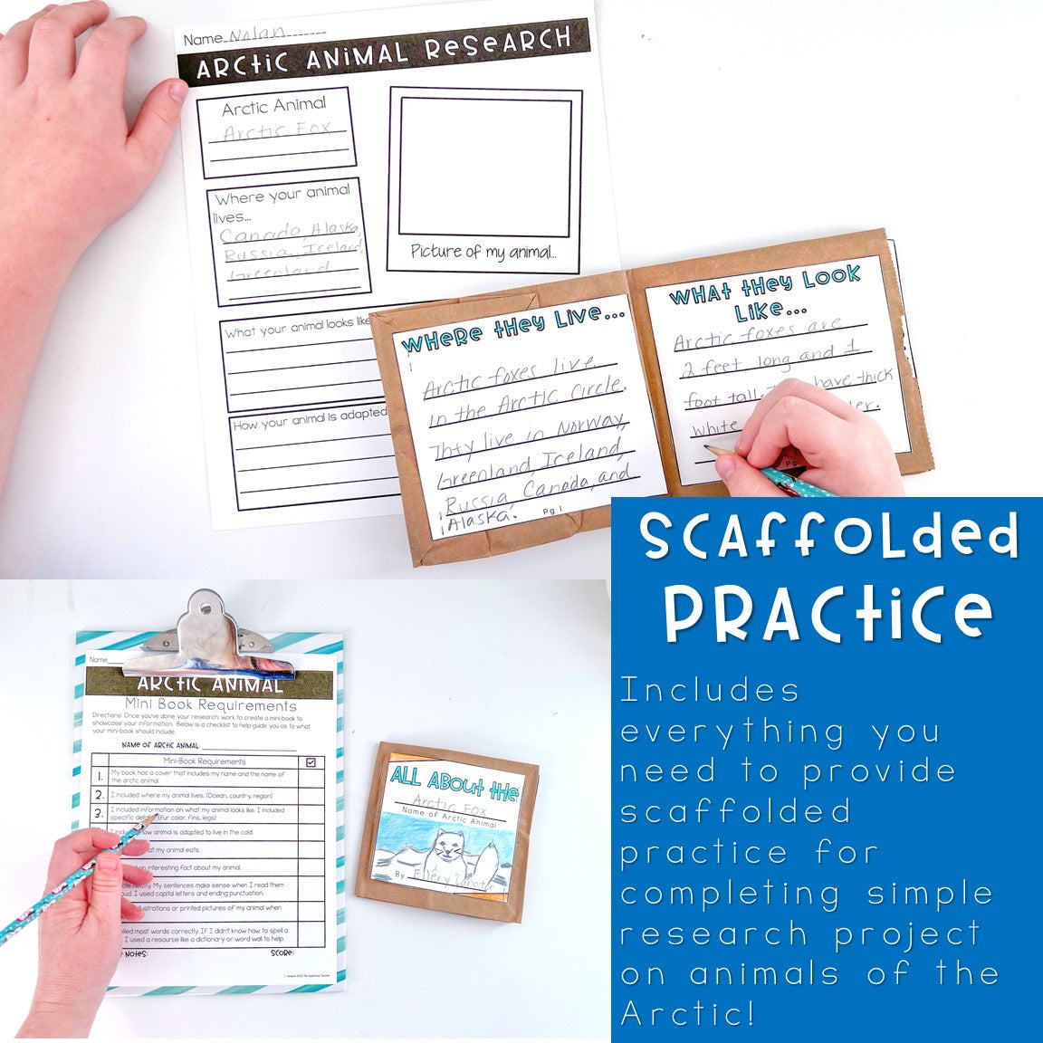 Arctic Animal Research Mini-book Beginning Research