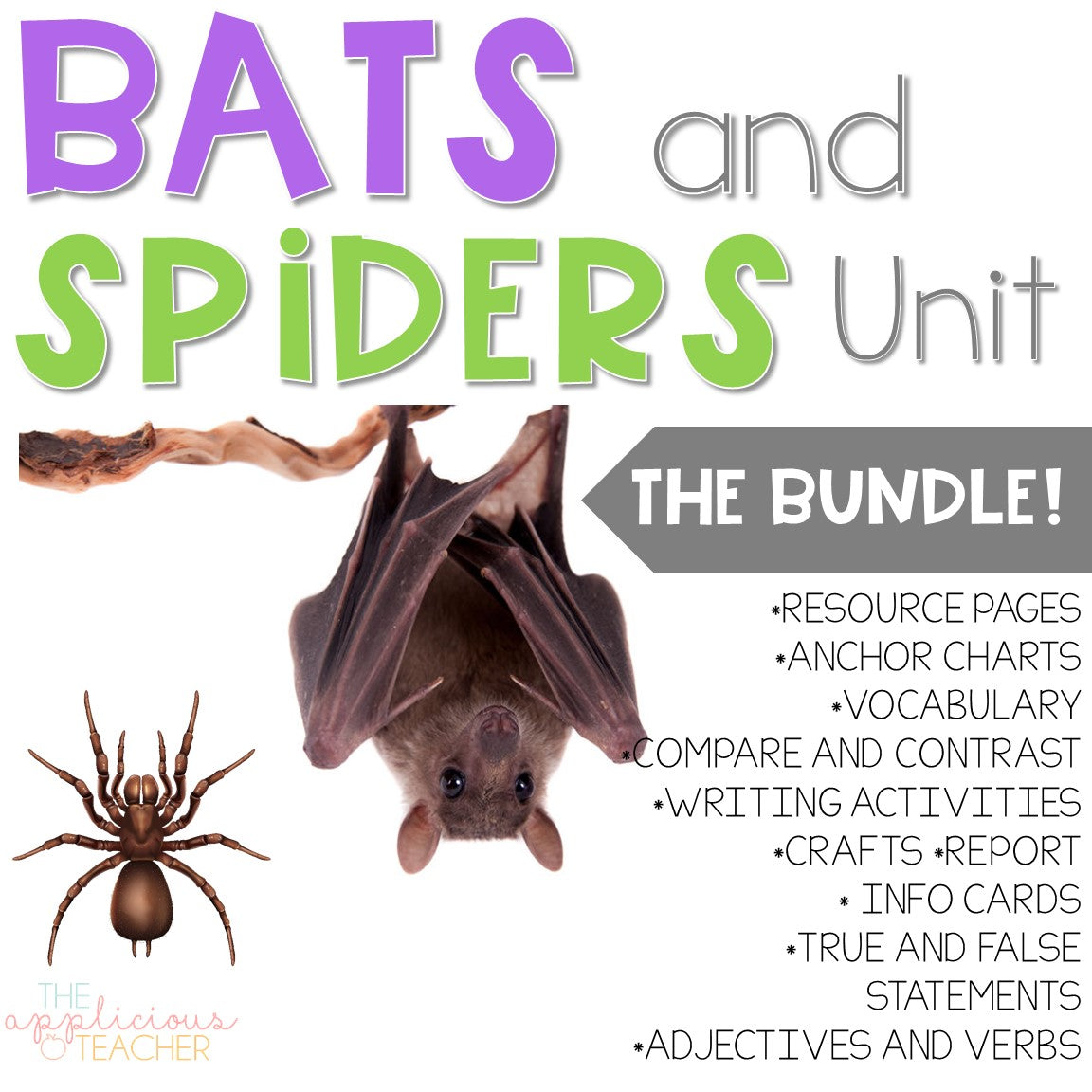 Bats and Spiders Activities Bundle | October Reading, Writing & Science Activities