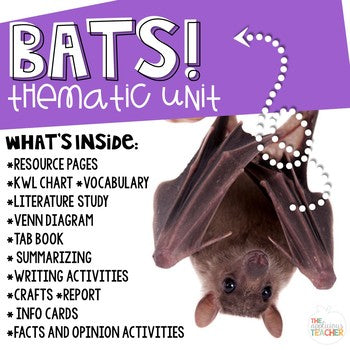 Bat Unit Activities