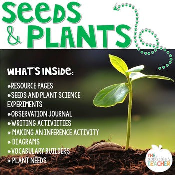 Seed Plant Life Cycle Activities – The Applicious Teacher Resource Store