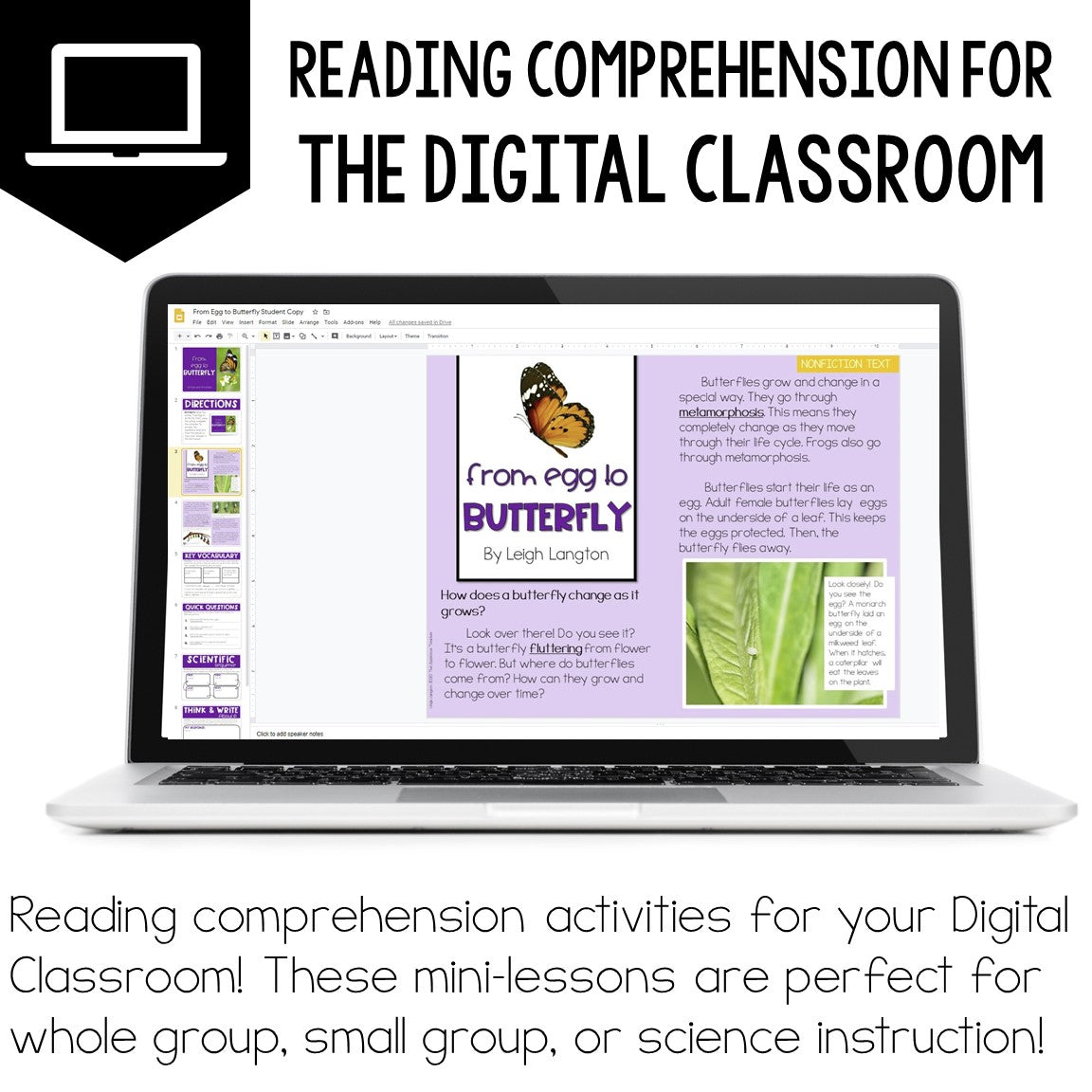 Reading Comprehension Mini-Lessons: The Science Bundle