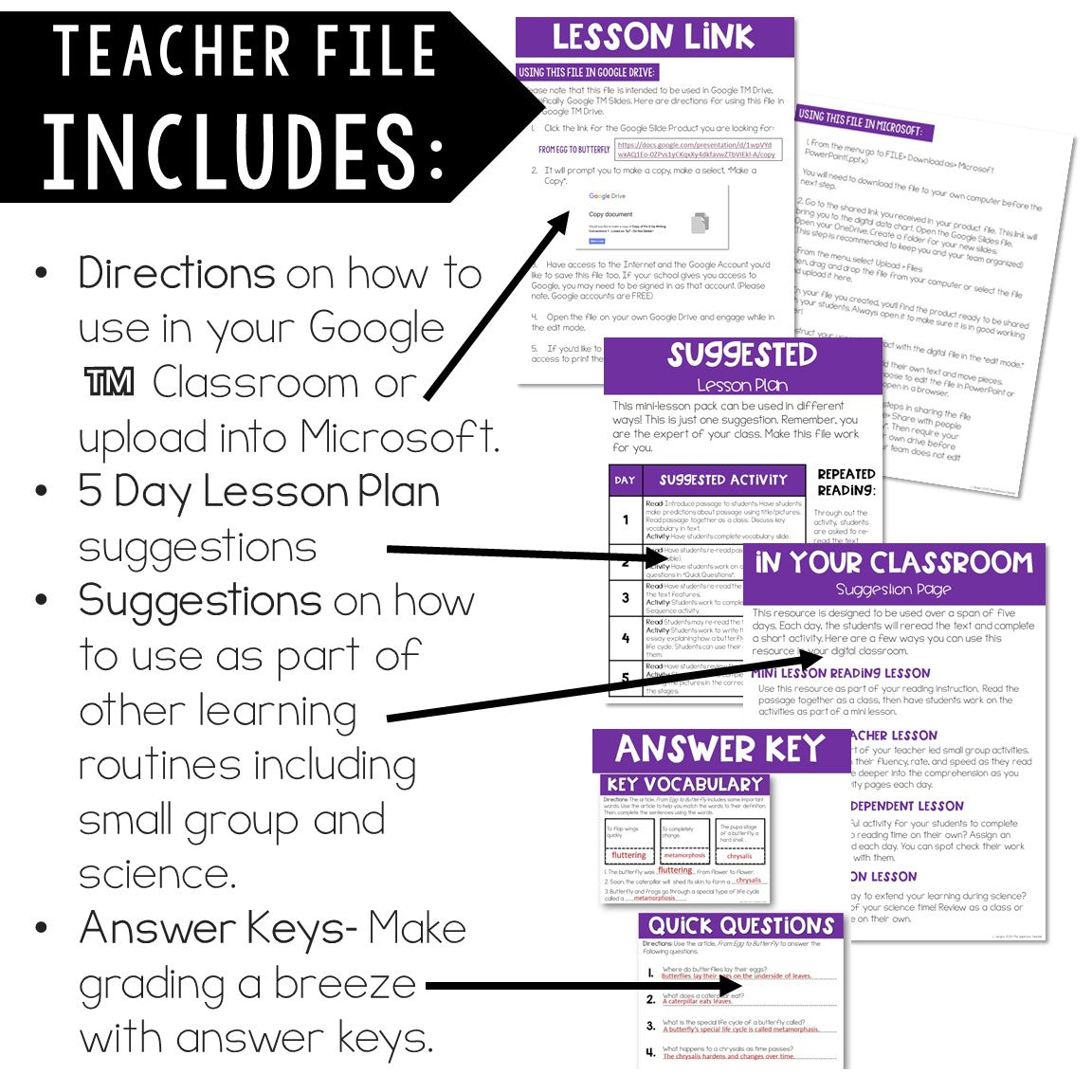 Comprehension Mini Lessons Reading Comprehension Mini-Lessons: The Science Bundle – The Applicious ...